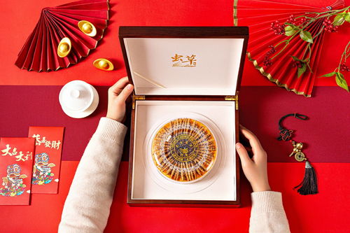 光影织就自然瑰宝 冬虫夏草产品摄影的艺术与蜀印画视觉的专业服务